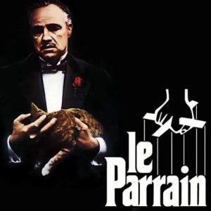 教父 The Godfather (1972)