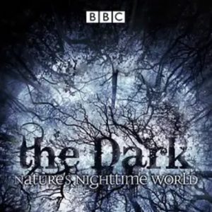 黑暗中的自然界 The Dark: Nature’s Nighttime World 2012年 [3集][英语中字][1080P]