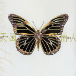 邓丽君2005 – 天国的情人 逝世十周年纪念声影存集 3CD[环球][WAV+CUE]