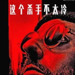 这个杀手不太冷 Léon (1994)