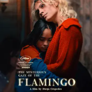 弗拉明戈的神秘眼神 La misteriosa mirada del flamenco (2025)