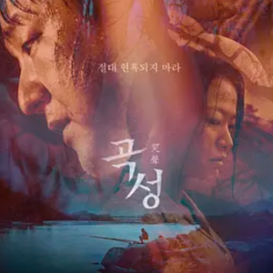 哭声 곡성 (2016)