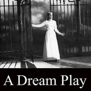 一出梦的戏剧 Ett drömspel (1963)
