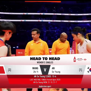 2025年 汇丰世界羽联世界巡回赛总决赛 F 王祉怡[中国] vs [韩国]安洗莹