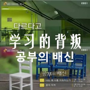 学习的背叛 공부의 배신 2016 [3集][EBS纪录片][韩语配音中文字幕][720P]