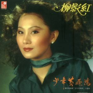 柳影虹1981 – 少年黄飞鸿（2005年复黑版）[永恒][WAV+CUE]