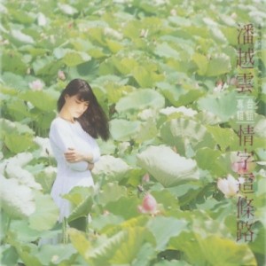 潘越云1988 – 情字这条路（百佳唱片NO.29）[滚石][WAV+CUE]