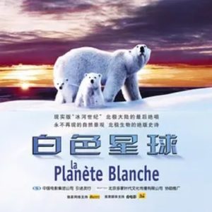 白色星球 La planète blanche 2006年 [全1集][BBC纪录片]