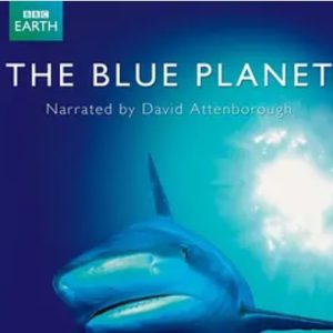 蓝色星球 第一季 The Blue Planet 2001年[Season1全10集][BBC纪录片]