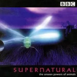 超自然力量 Supernatural: The Unseen Powers of Animals 1999年 [全6集][BBC纪录片]
