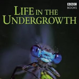灌丛下的生命 Life in the Undergrowth 2005年[全5集][BBC纪录片]