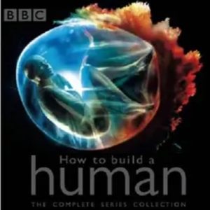 制造新人类 How to Build A Human 2002年 [全4集]