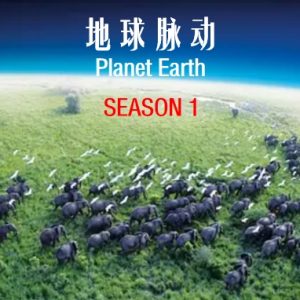 地球脉动 第一季 Planet Earth Season 1 2006年[全11集]