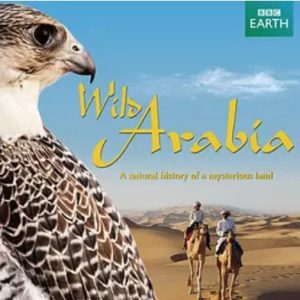 狂野阿拉伯 2013年 [全3集][BBC纪录片][英语中字][1080P]缺3