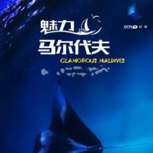 魅力马尔代夫 2014年 [全3集][普通话][1080P超清]