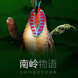 南岭物语 Nanling Mountains 2021年 [3集][普通话][1080超清]