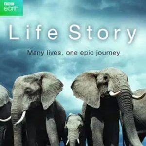 生命故事 Life Story 2014年 [全6集][普通话][1080超清]