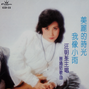 汪明荃1998 – 美丽的时光 我像小雨[娱乐唱片][WAV+CUE]