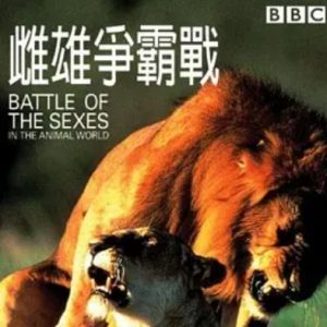 雌雄争霸战 Battle of the Sexes: in the Animal World 1999年 [全1集][BBC纪录片]