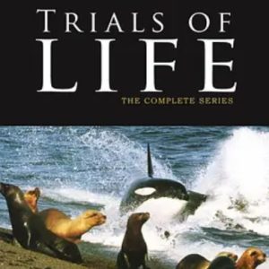 生命之源 The Trials of Life 1990年[全12集][BBC纪录片]