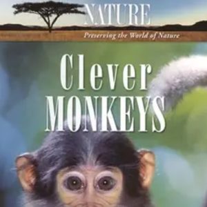 自然 聪明的猴子 Nature: Clever Monkeys 2008年 [全1集][BBC纪录片]