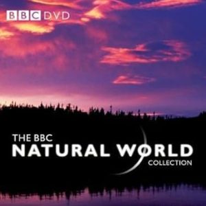 自然世界 驭风而归 Natural World Flying Home 2003年[全1集][BBC纪录片]