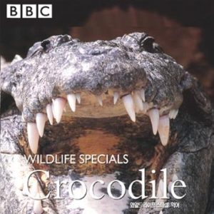 自然世界 鳄鱼谣 Natural World Crocodile Blues 2008年[全1集]