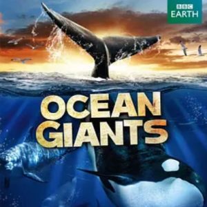 海洋巨兽 Ocean Giants 2011年 [全3集][BBC纪录片]