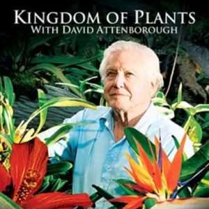 植物王国 Kingdom of Plants 3D 2012年[全3集][BBC纪录片]