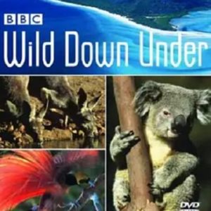 野性澳洲 Wild Down Under 2003年 [全6集][BBC纪录片]