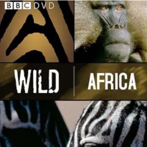 野性非洲 Wild Africa 2001年 [全6集][BBC纪录片]