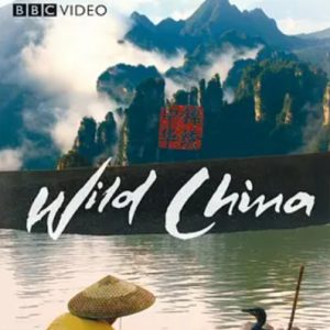 美丽中国 wild china 2008年 [全6集][英语中字][BBC纪录片]