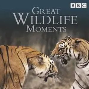 野生动物奇观 Great Wildlife Moments 2003年 [全2集][BBC纪录片]