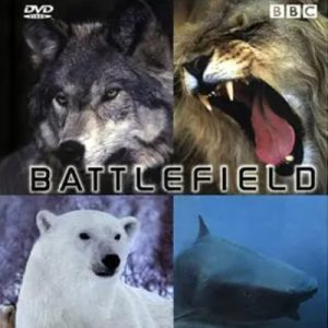 动物杀戮战场 Animal Battlefield 2005年[全4集][BBC纪录片]