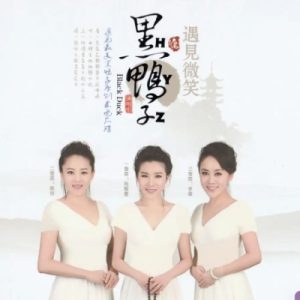 黑鸭子2017-遇见微笑[首版][WAV+CUE]