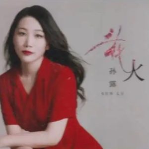 孙露《花火》限量1:1母盘直刻[WAV+CUE]