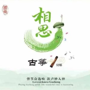 付娜 古筝2016 -《相思》原音母版1：1直刻[原抓WAV+CUE]