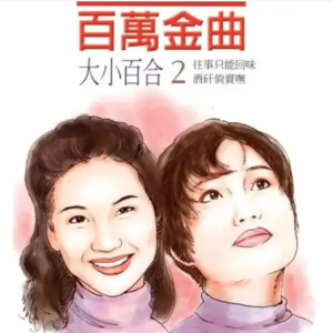 百合二重唱1994－百万金曲2 往事只能回味[吉马][FLAC分轨]