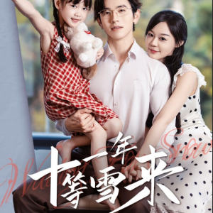 十一年等雪来[全50集]赵冠宇&蔚琳