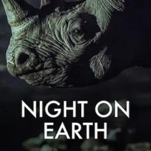 地球的夜晚 2020年 [S01全6集[外挂中文字幕][1080P]