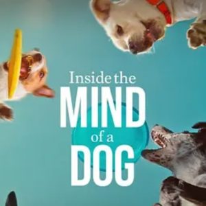 汪星人的奇思妙想 Inside the Mind of a Dog 2024年 [全1集][1080P]