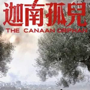 中东大宝荐2：迦南孤儿 (2024)