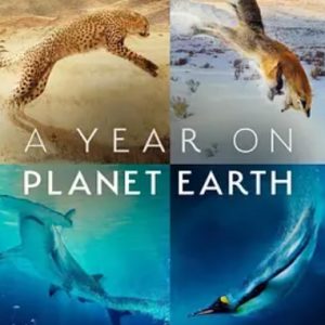 地球上的一年 2022年[S01全6集][4K杜比视界][英语 内嵌中英字幕]