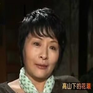 凤凰卫视 冷暖人生 高山下的花环 一个老山女兵不死的生命记忆