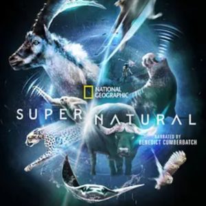 超凡动物奇观 Super/Natural 2022年 [全6集][美国纪录片]
