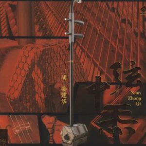 姜建华《弦中炁》头版限量编号24K金碟[WAV+CUE]