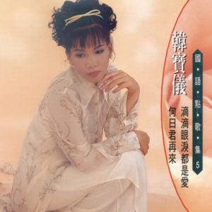 韩宝仪-国语点歌集05（滴滴眼泪都是爱）[金猪唱片][WAV整轨]