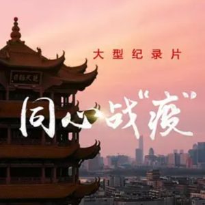 同心战“疫” 2020 [6集][央视纪录片][国语配音中文字幕][1080P]