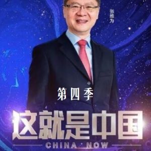 这就是中国 [第4季共44集][国语中字][1080P]