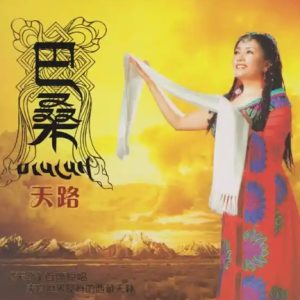 巴桑2025 -《天路HQⅡ》头版限量编号[WAV+CUE]